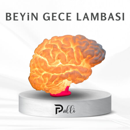 Beyin Gece & Masa Lambası
