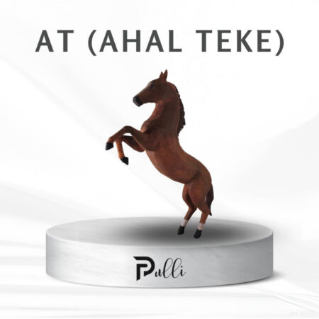 At (Ahal Teke) Figür
